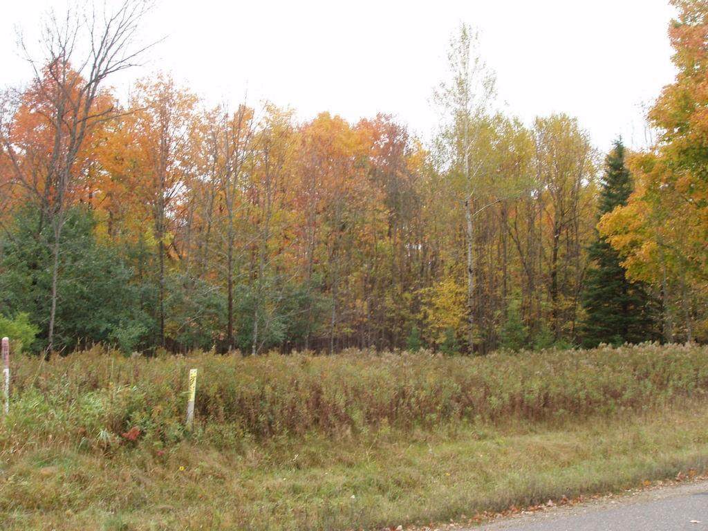 Lot 3 Margaret Lane - Photo 1