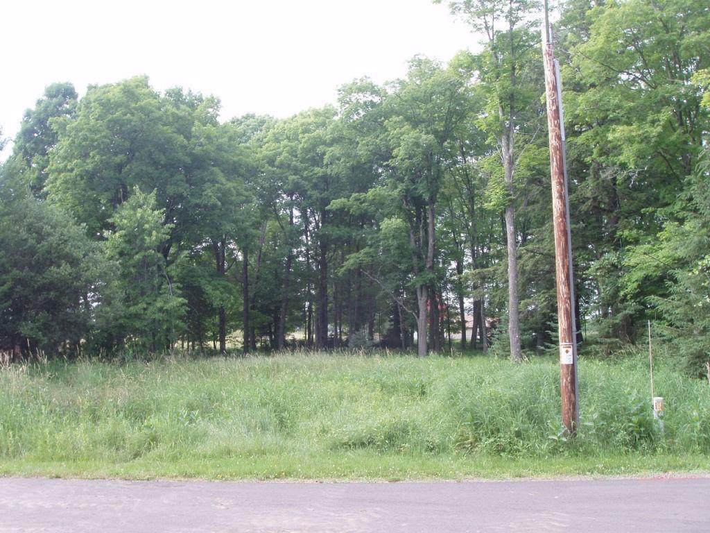 On Heritage Lane - Photo 1