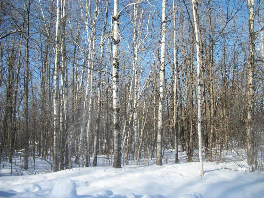 Lot #91,92 & more Woods Avenue - Photo 1