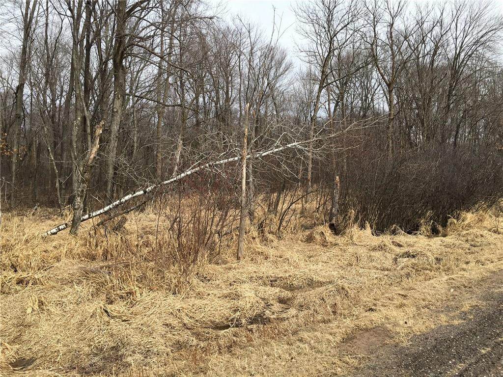 0 Godfrey Lake Road - Photo 1