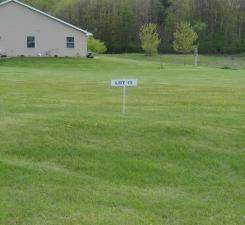 Lot 7 Nelson Drive - Photo 1