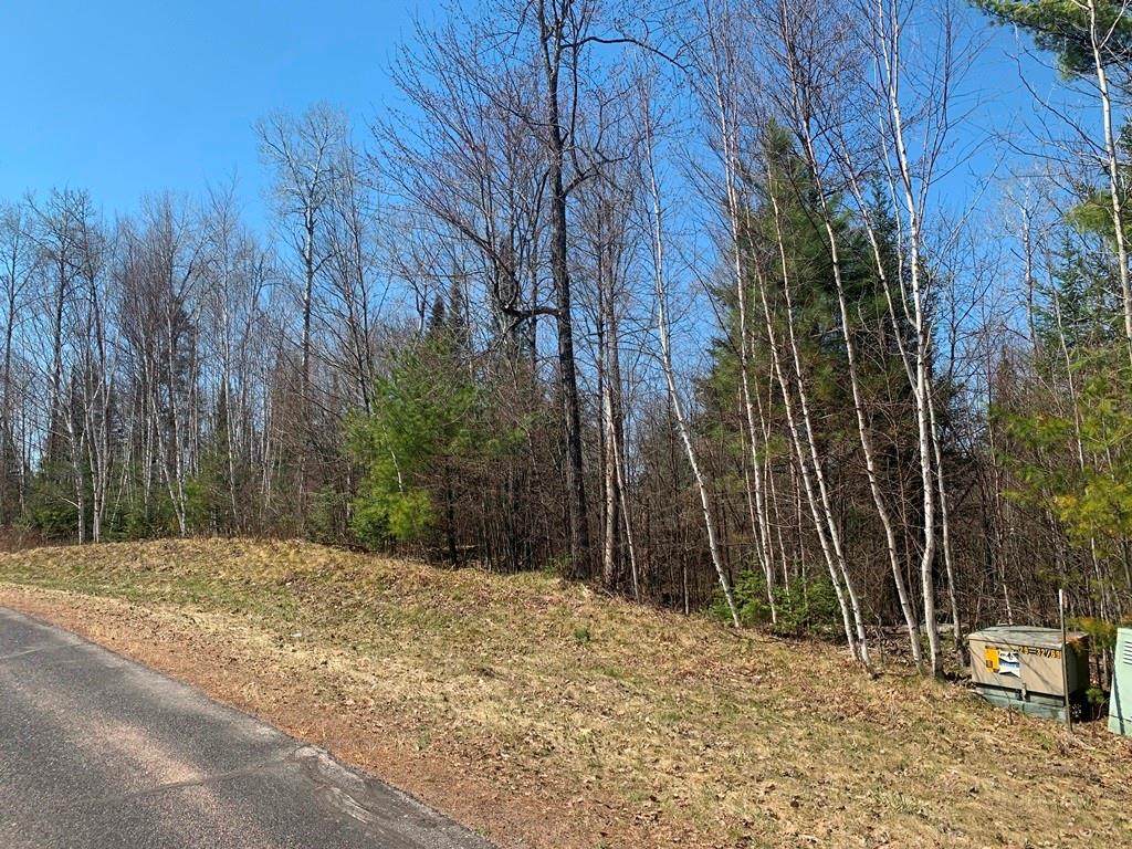 Lot 5 Ridgerock Road - Photo 1