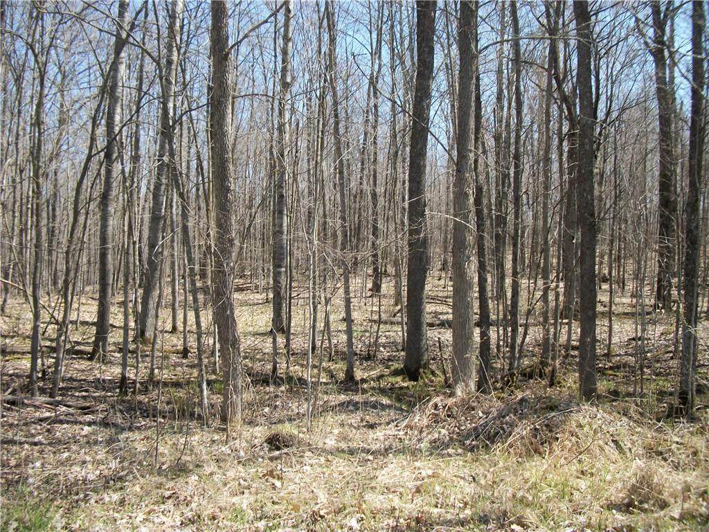 LOT # 93 and 94 Maple Court - Photo 1