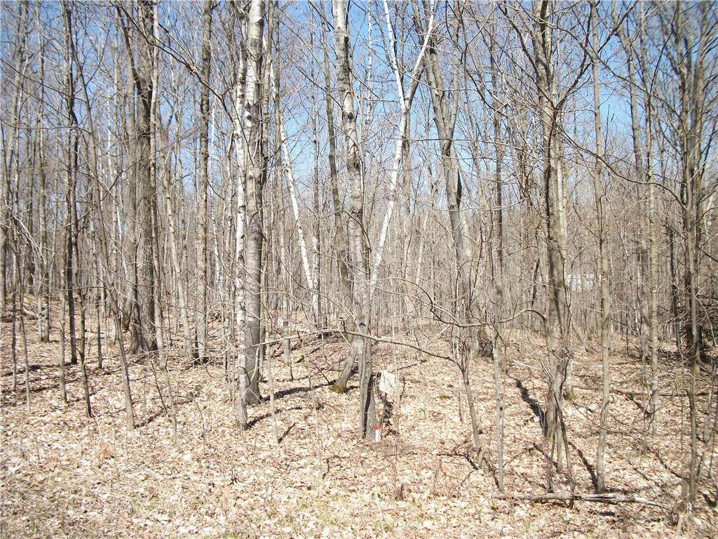 LOT#99 and 100 Woods (Spruce) Avenue - Photo 1