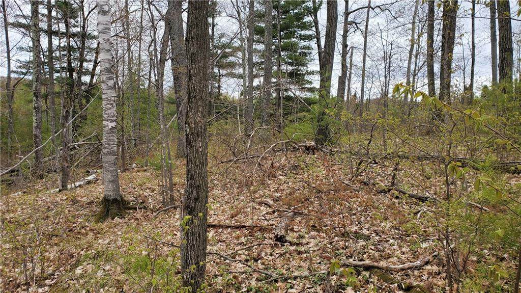 Lot 0 Hwy F - Photo 1