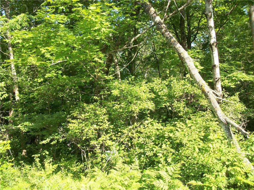 Lot 24 (24-19-4) Loch Lomond (28 1/8 Ave) Avenue - Photo 1