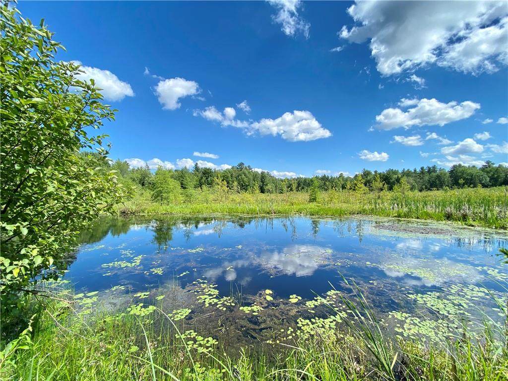 00 Reiske Road - Photo 1