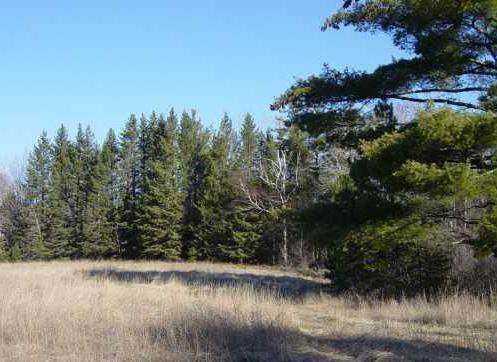 Lot 25 Big Timber Ridge Road - Photo 1