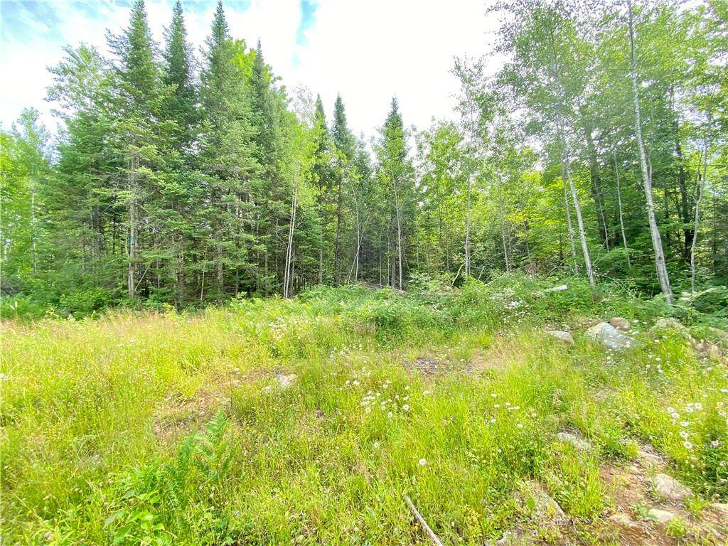 0 Barker Lake Road - Photo 1