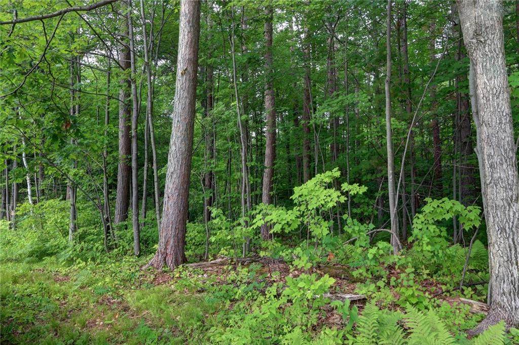 Lot 2 Felser Drive - Photo 1