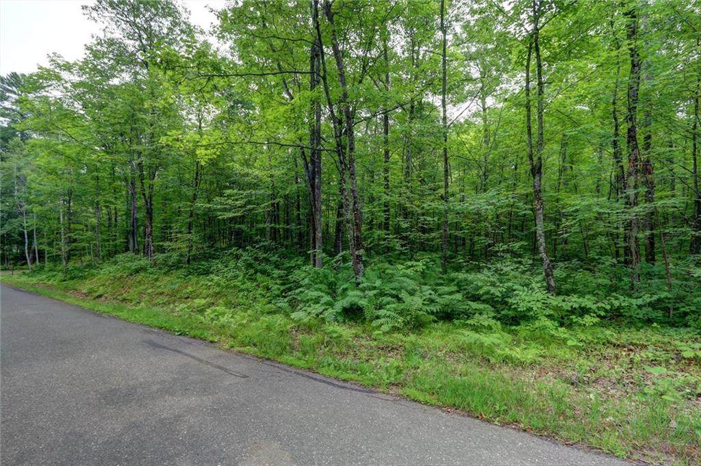 Lot 3 Felser Drive - Photo 1