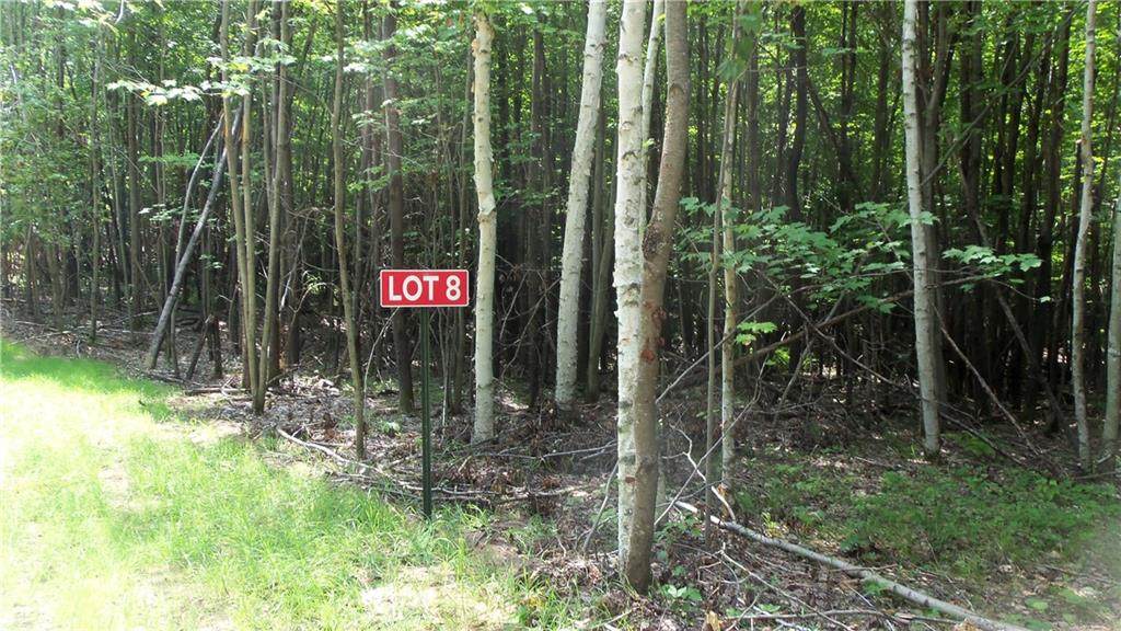 LOT 8 Birch Haven Rd - Photo 1