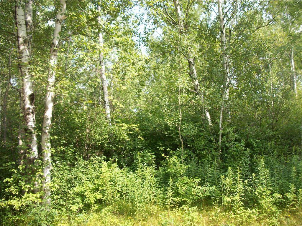 Lot #29 Bayfield Ct - Photo 1