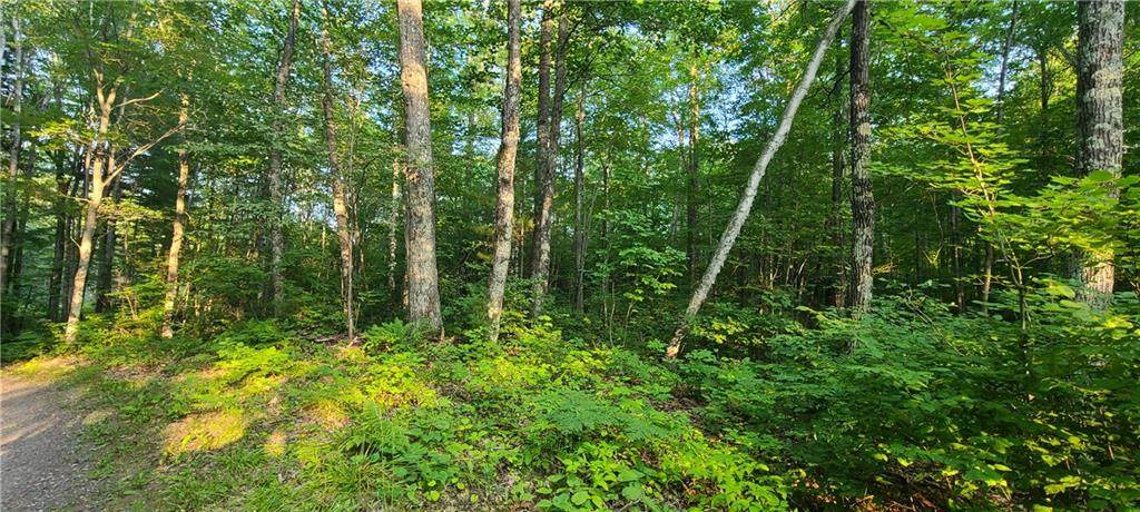 0 Wintergreen Lane - Photo 1