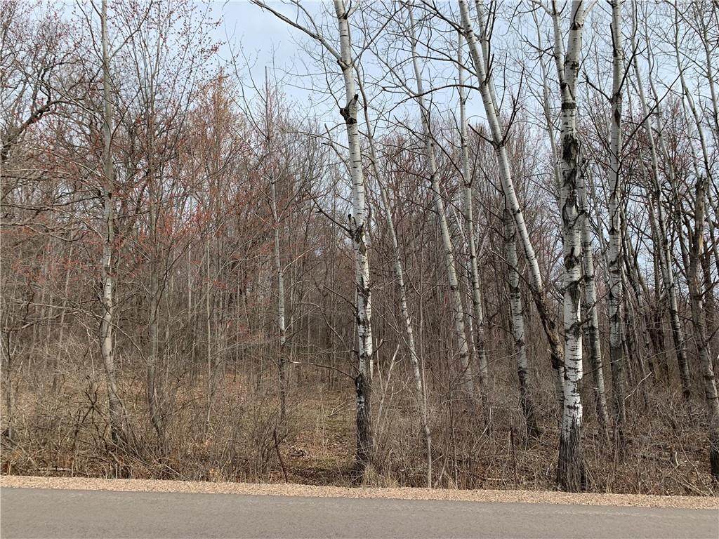 Lot 9 105th Avenue - Photo 1