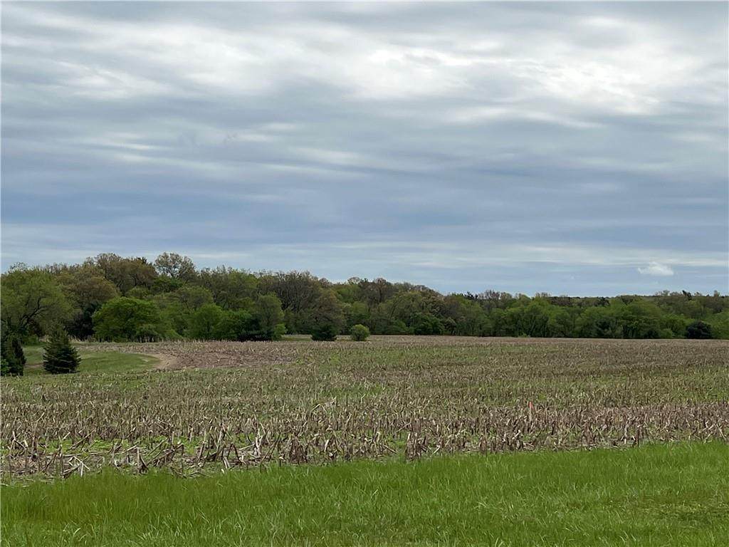 Lot 40 Lowes Creek Road - Photo 1