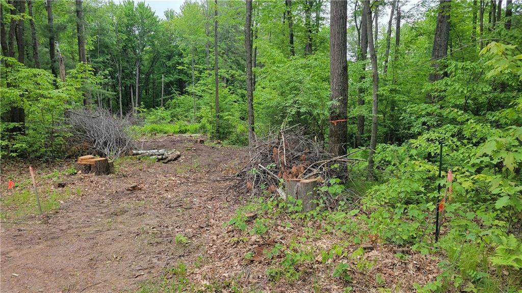 W8986 South Lake Road - Photo 1