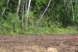 Lot #26 - 6024 Mill Meadows Drive - Photo 1