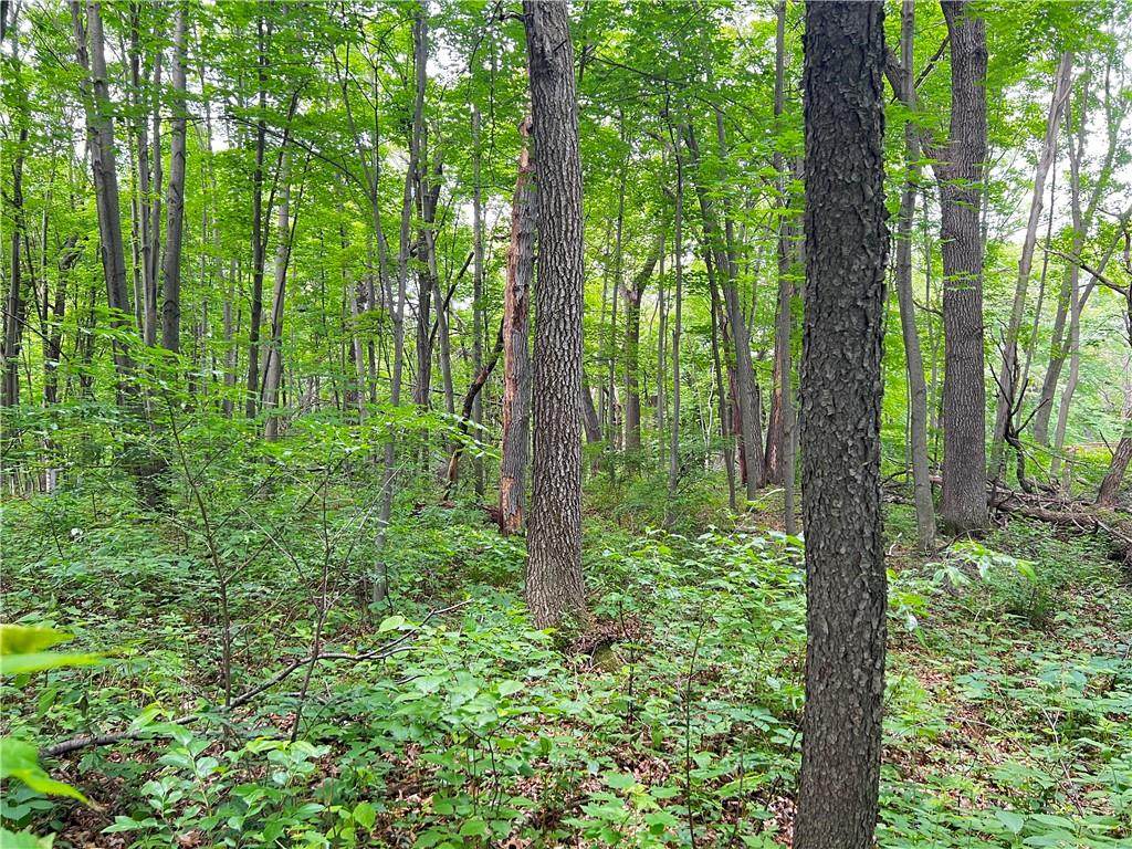 0 Woodland Drive - Photo 1