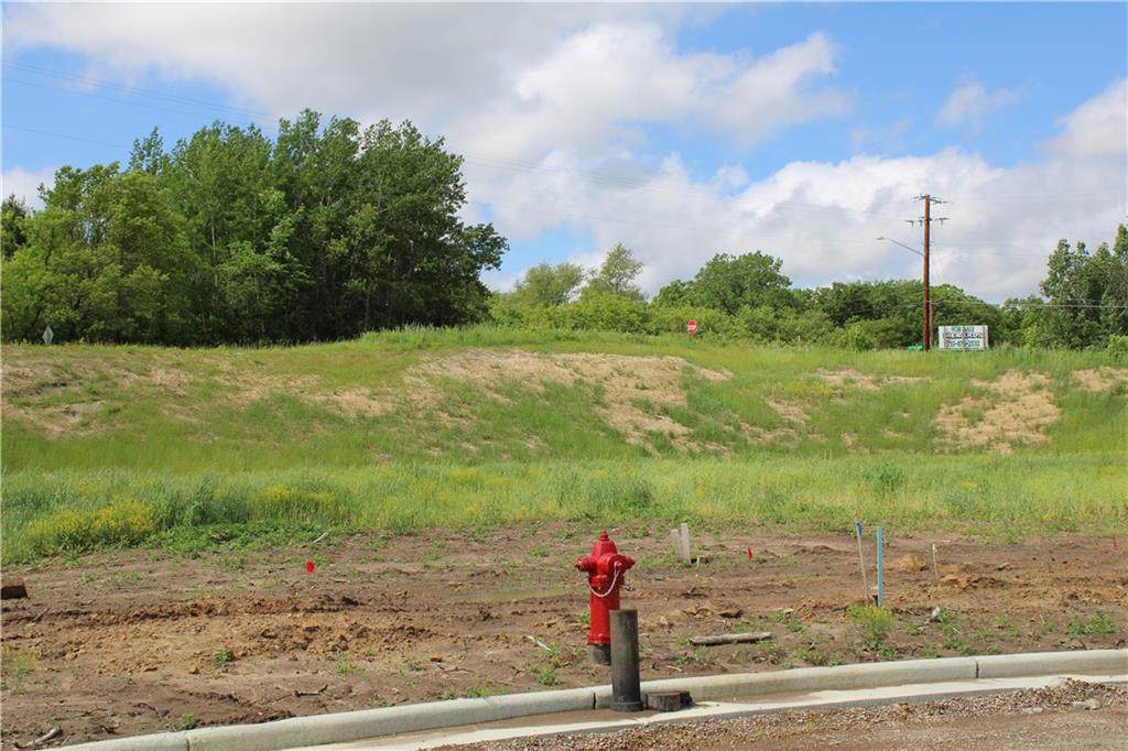 Lot #4 - 6027 Mill Meadows Drive - Photo 1