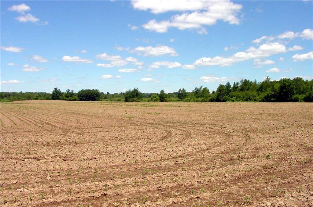 38 Acres on Cty. Rd. G - Photo 1