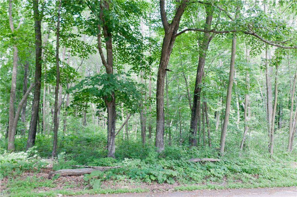 Middle 8 +/- acres 29 1/4 Avenue - Photo 1