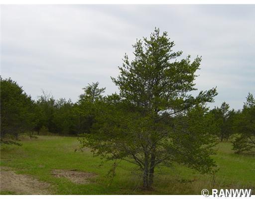 0 Brodi Lane - Photo 1