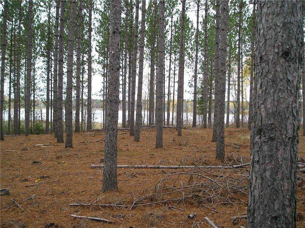 00 Crooked Lake Road - Photo 1