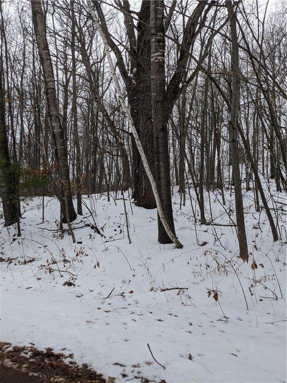 Lot 4 122nd Avenue - Photo 1