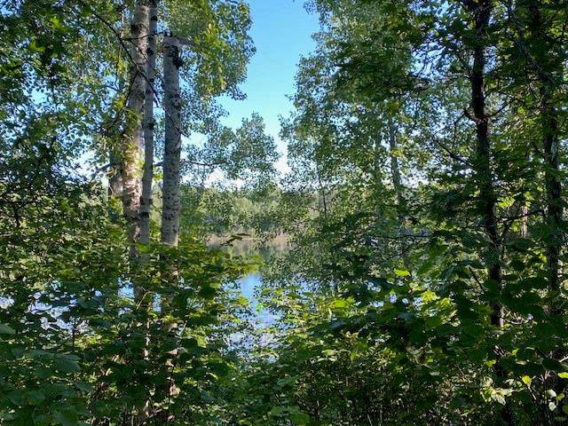 2510 Bony Lake Road - Photo 1