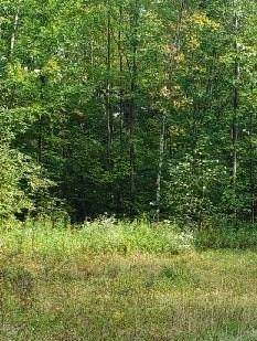 0 Hwy 27 - Photo 1
