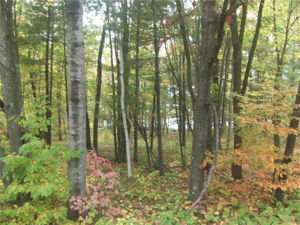 Lot 267th - Photo 1
