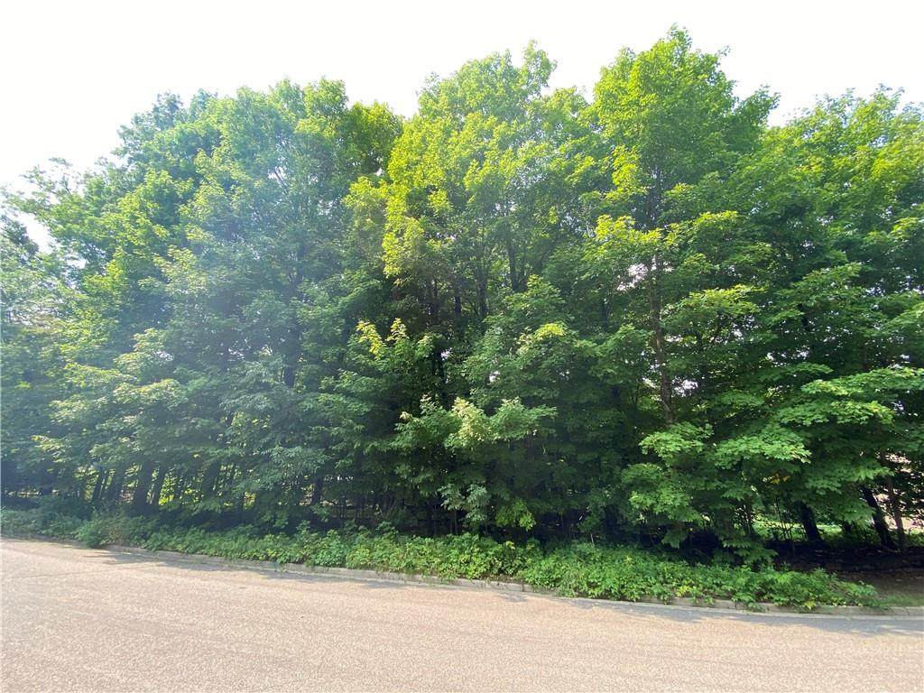 Lot 4 Ironwood Street - Photo 1