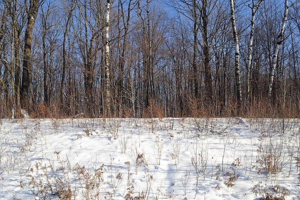 Lots 1-4 CSM 8277 27 Highway - Photo 1