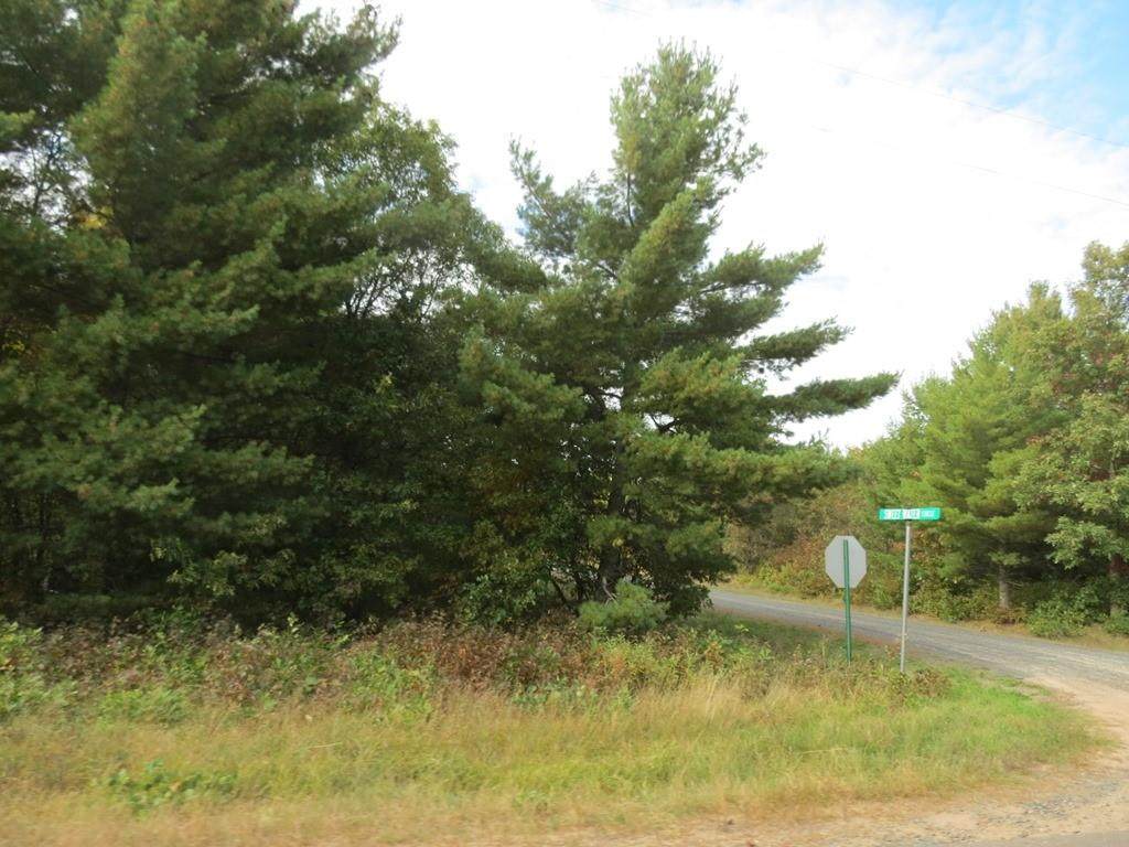 Lot 11 Badger Drive - Photo 1