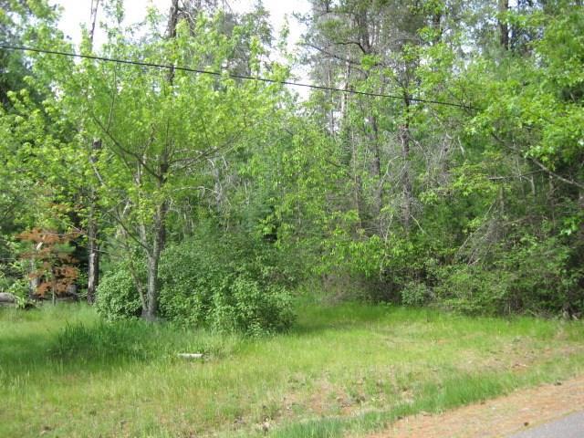 Lot 9 Carol Drive - Photo 1