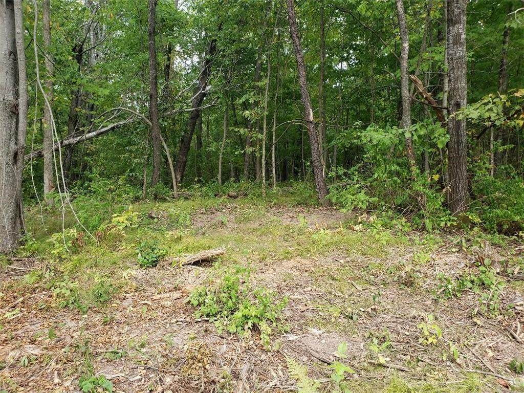 00 Highway 48 - Photo 1