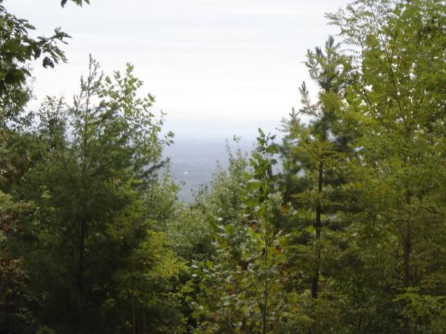 29 Mountain Lookout - Photo 1