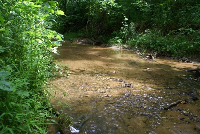 (Lot 171) Woodstock Ln - Photo 1