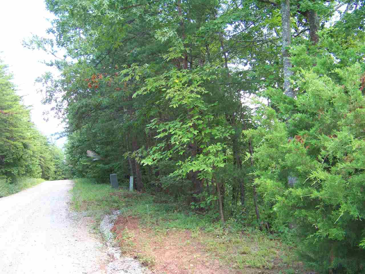 00 Pinnacle Parkway - Photo 1
