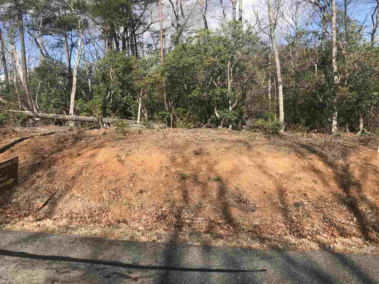 0 Mountain Lookout Drive - Photo 1