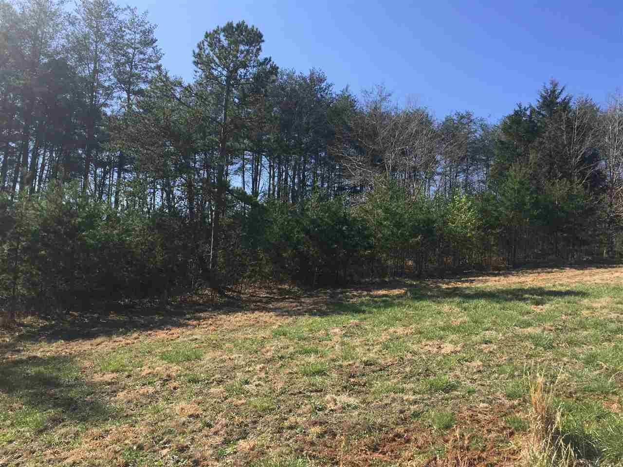 000 Hickory Loop - Photo 1