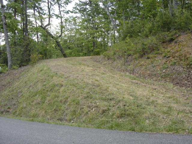 69 Arbra Mountain Way - Photo 1