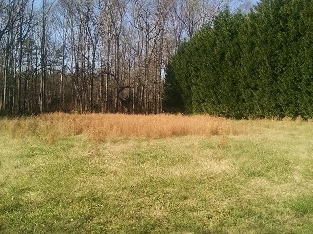 Allen Dr. - Photo 1