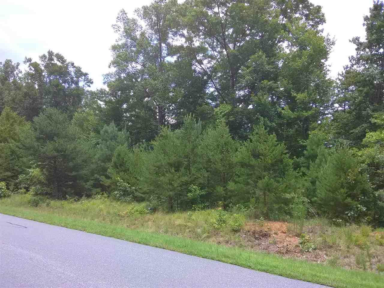 lots 370,371 Cleawwater Parkway - Photo 1
