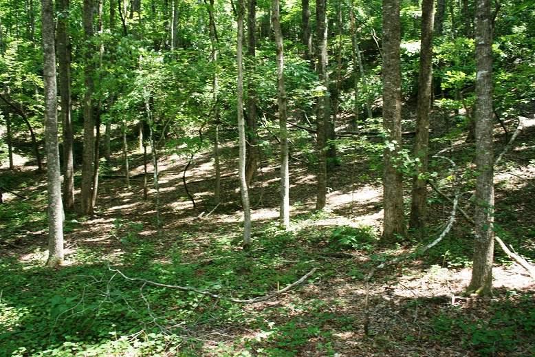 000 Polk County Line Road - Photo 1