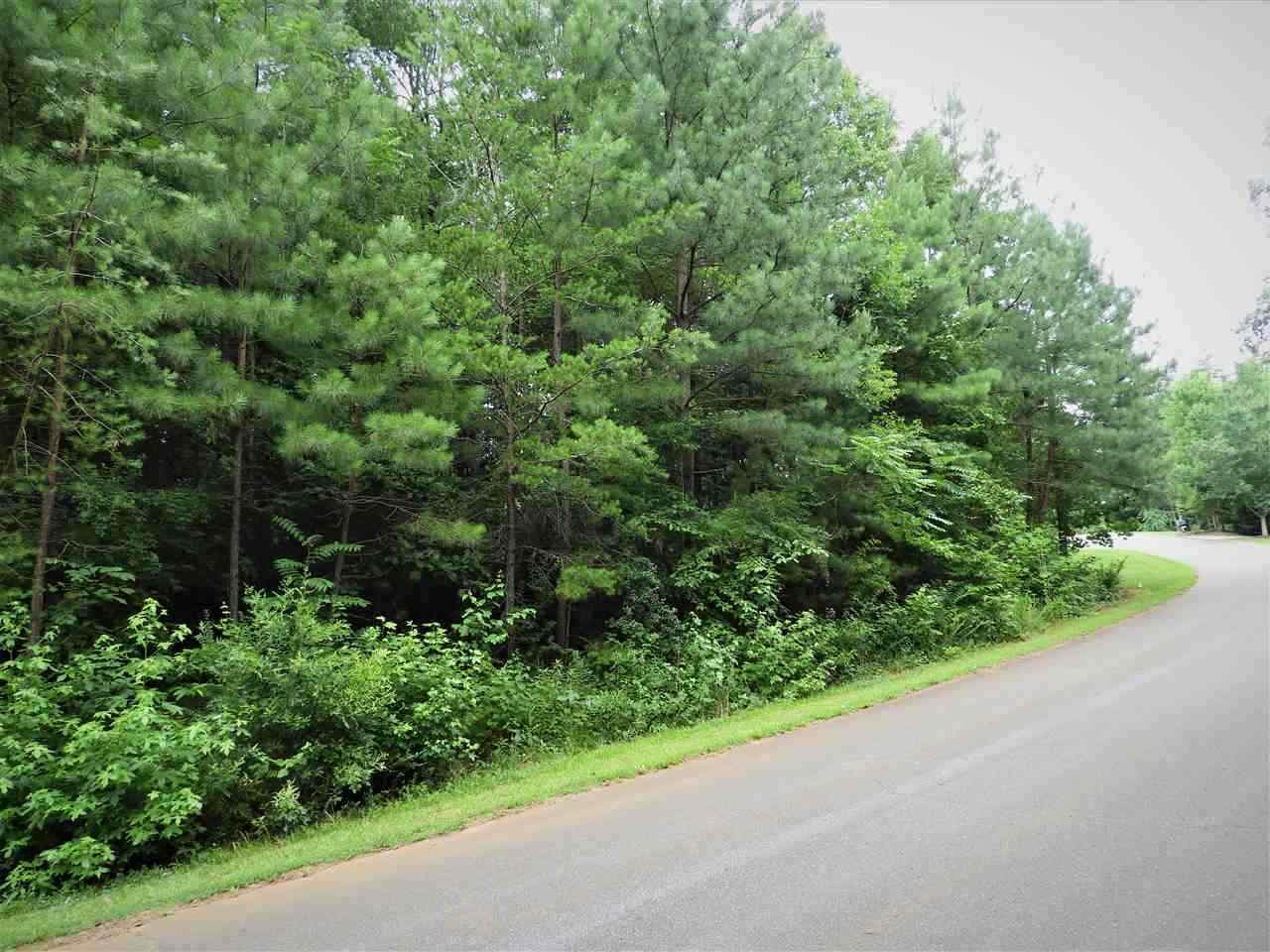 0 Chisholm Trl - Photo 1