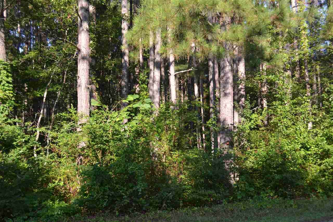 0 (Lot 18) Brooks Road - Photo 1