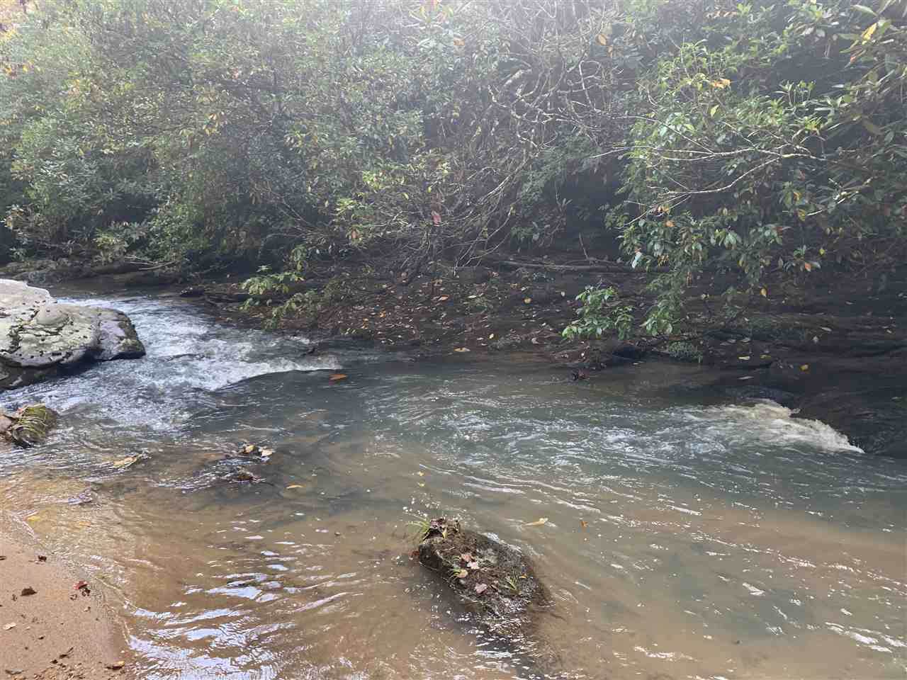 0 Cane Creek Mountain Road - Photo 1