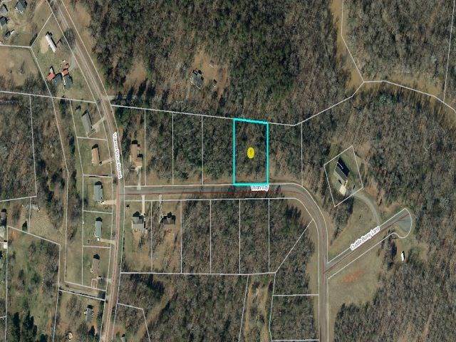 Lot 9 Vivian Way - Photo 1